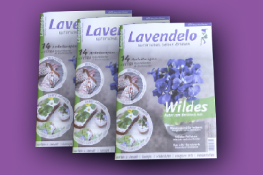 Lavendelo